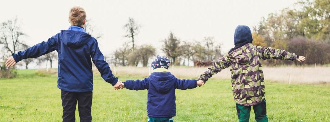 Six Great Garden Activities for Children This Summer